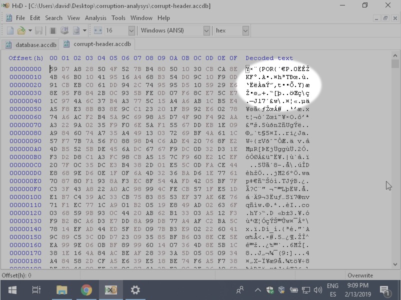 A Microsoft Access corrupt file viewed with an hex editor